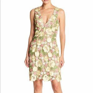 Gorgeous Spring Lace Dress